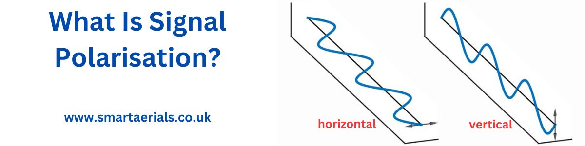 what-is-signal-polarisation